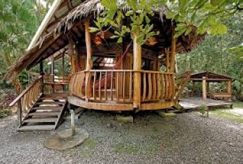  Tree House Lodge, ,    