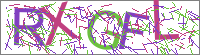 ���