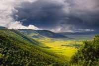 �������� ���� Ngorongoro