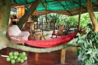 ����� The Aviary, ������, ����������