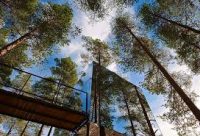 ����� Treehotel, ������, ������  