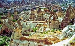 ���� ������� - ������