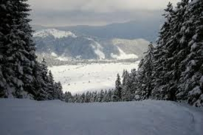 Говедарци - Рила