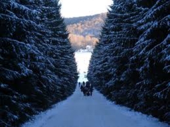 Узана - Стара планина