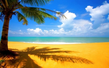 Плаж Коста Рей