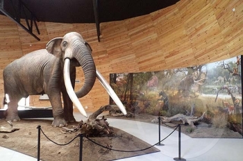 Плиоценски парк Дорково