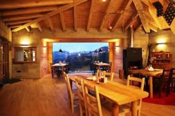 Хотели на дърво