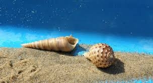 Плажовете на Балканите