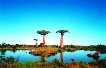 Зодия Стрелец