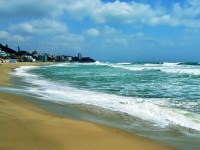 Шкорпиловци