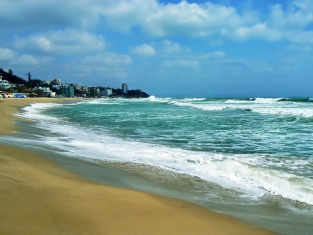 Шкорпиловци